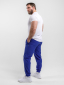 Брюки DTI ROYAL BLUE-
