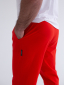 Брюки DTI RED-