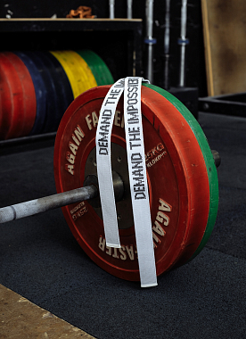 Лямки тренировочные WINNER H