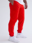 Брюки DTI RED-