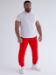 Брюки DTI RED-