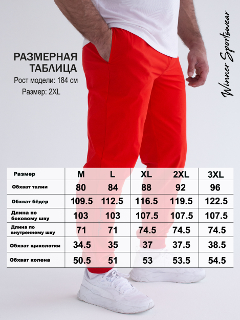 Брюки DTI RED-