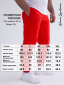 Брюки DTI RED-