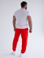 Брюки DTI RED-